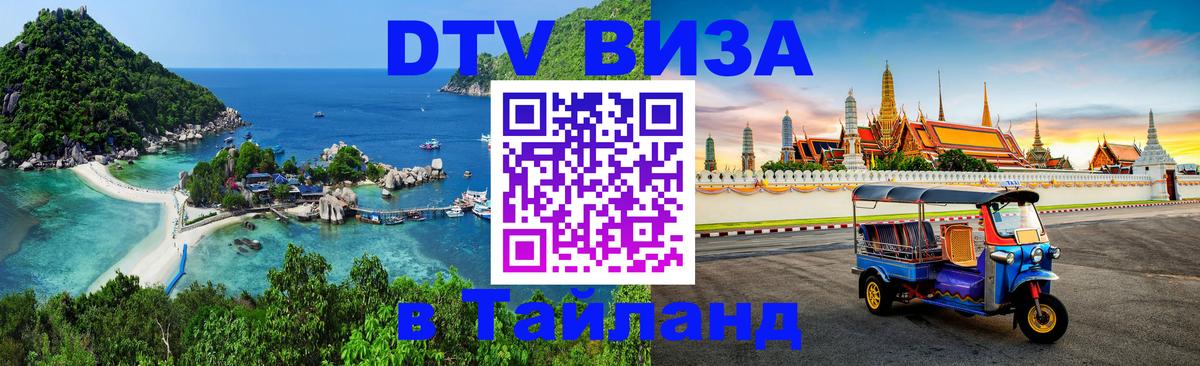 Сколько стоит DTV виза — актуальные цены, оформление даже без документов - 19.11.2025 